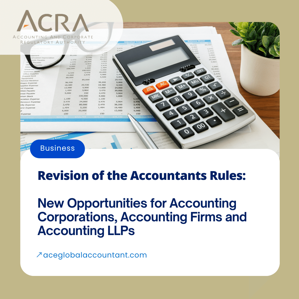 revision-the-accountants-rules